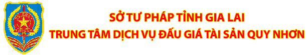 Trung tâm dịch vụ đấu giá tài sản tỉnh Bình Định
